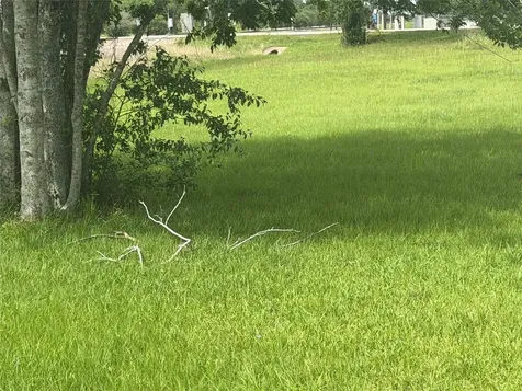 Lot 10 Guess Avenue Kendleton TX 77451