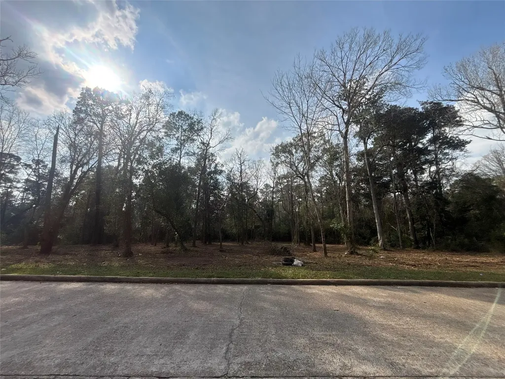1742 Woodway Drive Woodbranch TX 77357