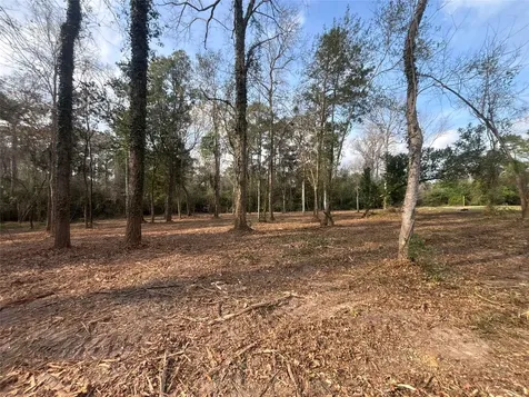 1742 Woodway Drive Woodbranch TX 77357