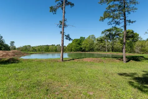 20277 Fm 1791 Richards TX 77873