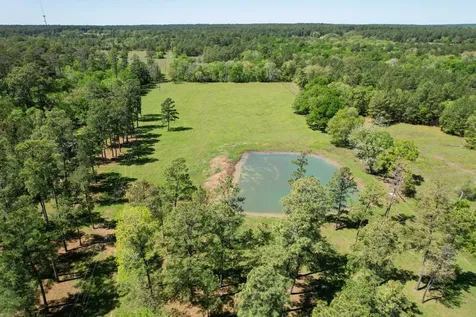 20277 Fm 1791 Richards TX 77873