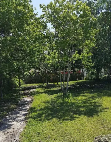 2201 Lucas Street Houston TX 77026