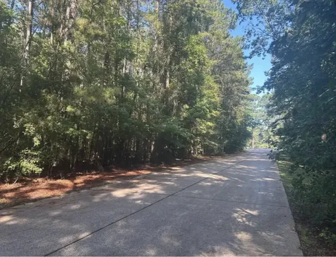 Lot 16 Forse Street Woodville TX 75979