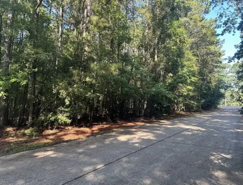 Lot 16 Forse Street Woodville TX 75979