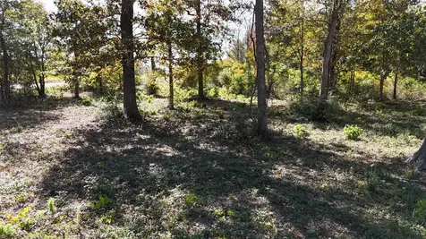 13720 Highway 59 Splendora TX 77372