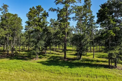 14.5 Ac Westview Drive Huntsville TX 77320