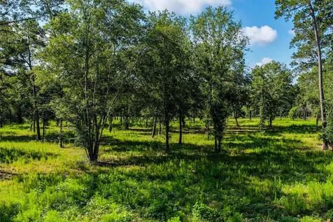 14.5 Ac Westview Drive Huntsville TX 77320