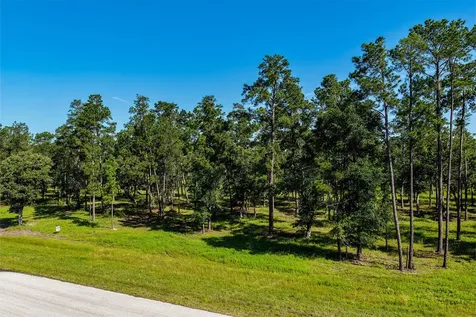 14.5 Ac Westview Drive Huntsville TX 77320