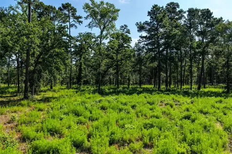 14.5 Ac Westview Drive Huntsville TX 77320