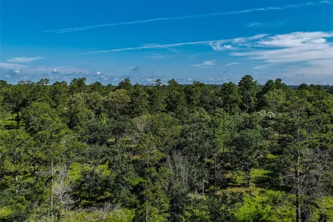 14.5 Ac Westview Drive Huntsville TX 77320