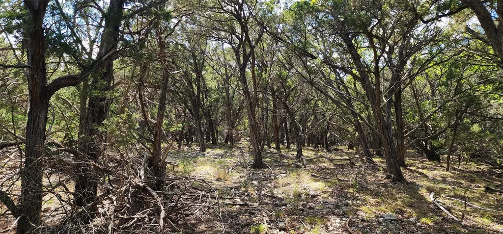 Tbd Mountain Creek Road Pipe Creek TX 78063