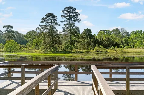 42663 Reminiscent Lane Magnolia TX 77354