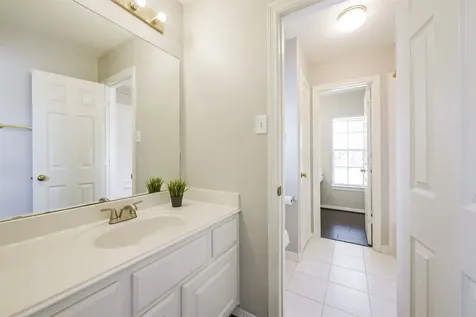 3223 Pleasant Cove Court Houston TX 77059