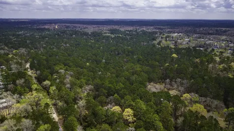 Tbd Tract 1 Triple Creek Loop Livingston TX 77351