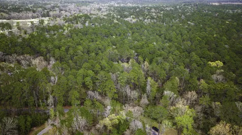 Tbd Tract 1 Triple Creek Loop Livingston TX 77351