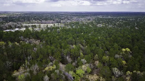 Tbd Tract 1 Triple Creek Loop Livingston TX 77351