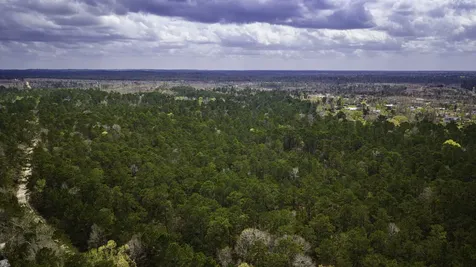 Tbd Tract 1 Triple Creek Loop Livingston TX 77351