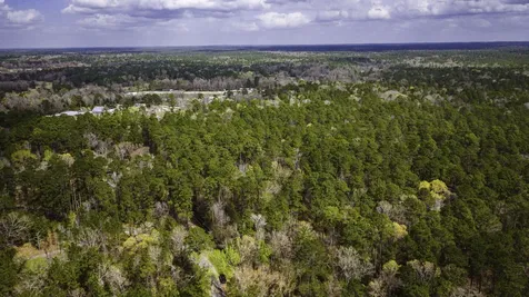 Tbd Tract 1 Triple Creek Loop Livingston TX 77351