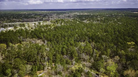 Tbd Tract 1 Triple Creek Loop Livingston TX 77351