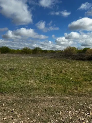 3507 Oil Field Road Bellville TX 77418
