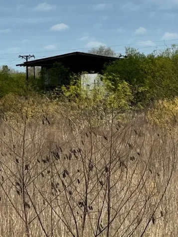 3507 Oil Field Road Bellville TX 77418