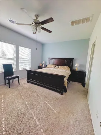 14211 Alberta Spruce Lane Crosby TX 77532