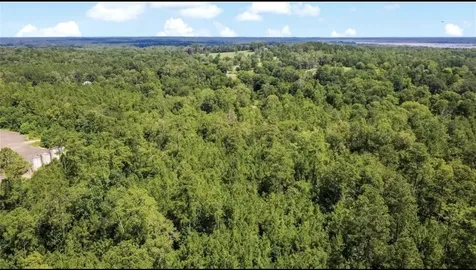 Tbd County Road 4090 Woodville TX 75979