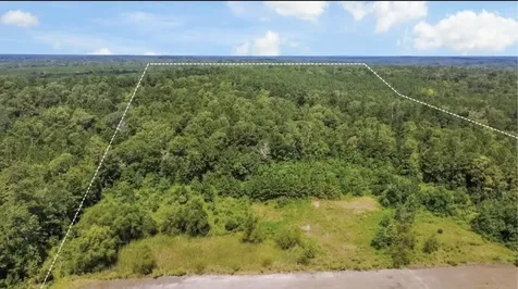 Tbd County Road 4090 Woodville TX 75979