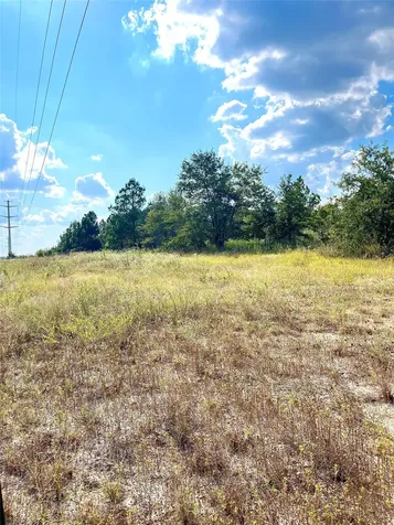 Tbd Ponderosa Loop Paige TX 78659