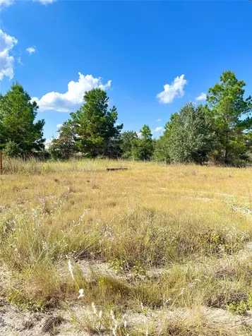Tbd Ponderosa Loop Paige TX 78659