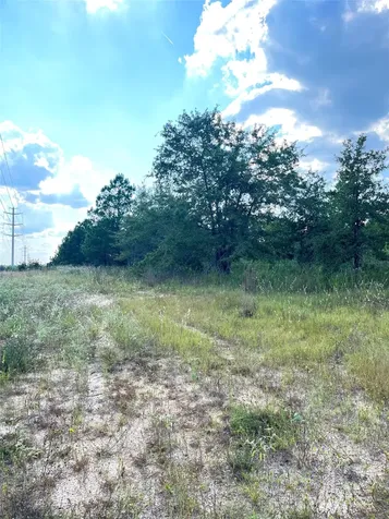Tbd Ponderosa Loop Paige TX 78659