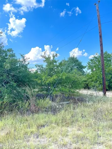 Tbd Ponderosa Loop Paige TX 78659