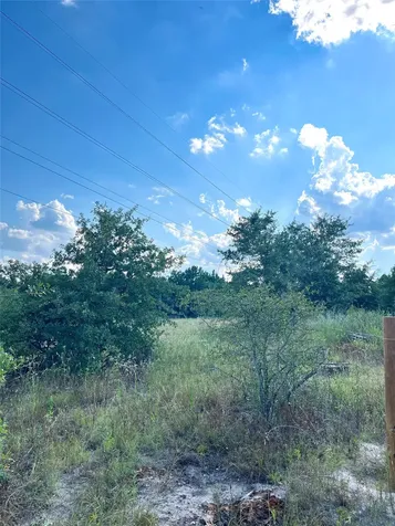 Tbd Ponderosa Loop Paige TX 78659