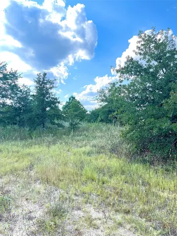 Tbd Ponderosa Loop Paige TX 78659