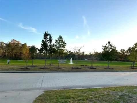 25461 Black Spruce Drive Cleveland TX 77328