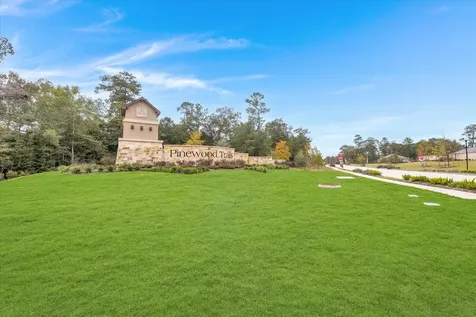 25461 Black Spruce Drive Cleveland TX 77328