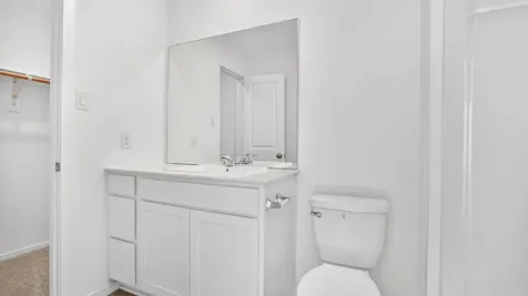 26911 Dalmatian Bellflower Drive Katy TX 77493