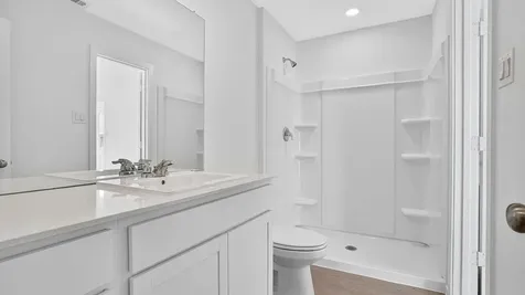 26911 Dalmatian Bellflower Drive Katy TX 77493