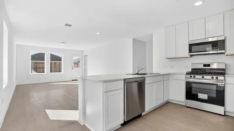 26911 Dalmatian Bellflower Drive Katy TX 77493