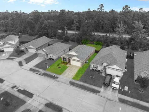 11518 Castle Nugent Court Conroe TX 77304
