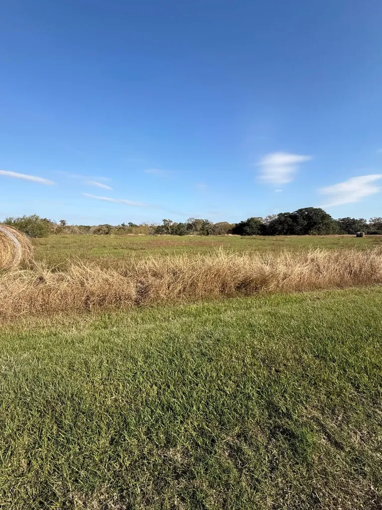 000 River Hollow Way Blessing TX 77419
