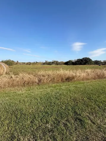 000 River Hollow Way Blessing TX 77419