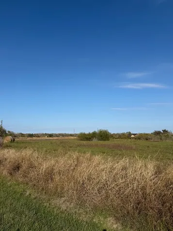 000 River Hollow Way Blessing TX 77419