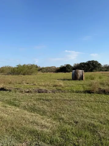 000 River Hollow Way Blessing TX 77419