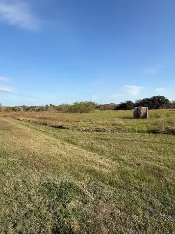000 River Hollow Way Blessing TX 77419