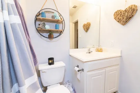 28830 Bosque River Court Spring TX 77386