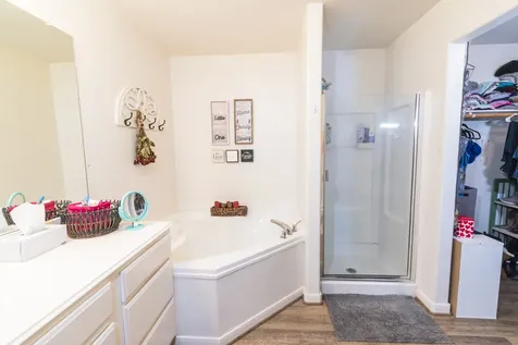 28830 Bosque River Court Spring TX 77386