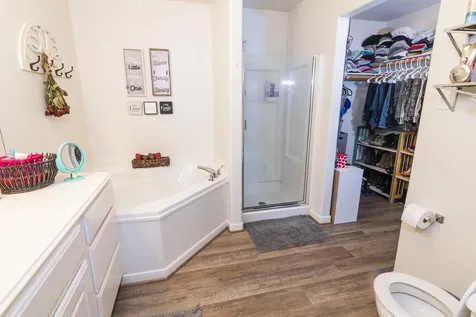 28830 Bosque River Court Spring TX 77386