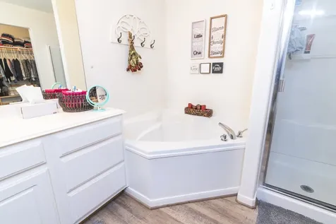 28830 Bosque River Court Spring TX 77386
