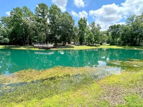 25920 Grand Pines Magnolia TX 77355